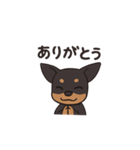 ミニピンアニメ（個別スタンプ：2）