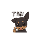 ミニピンアニメ（個別スタンプ：3）