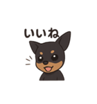 ミニピンアニメ（個別スタンプ：8）