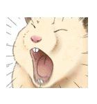 ハムちゃんのかおたち（個別スタンプ：10）