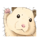 ハムちゃんのかおたち（個別スタンプ：16）