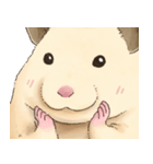 ハムちゃんのかおたち（個別スタンプ：19）