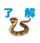 ボールパイソンの日常。（個別スタンプ：8）