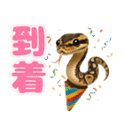 ボールパイソンの日常。（個別スタンプ：17）