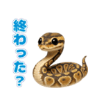 ボールパイソンの日常。（個別スタンプ：19）