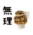 ボールパイソンの日常。（個別スタンプ：28）