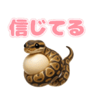 ボールパイソンの日常。（個別スタンプ：35）