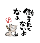 格言ぽく言うチワワ（個別スタンプ：3）