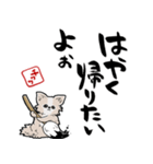格言ぽく言うチワワ（個別スタンプ：4）