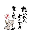 格言ぽく言うチワワ（個別スタンプ：12）