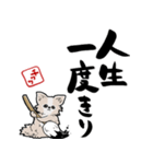 格言ぽく言うチワワ（個別スタンプ：14）