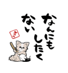 格言ぽく言うチワワ（個別スタンプ：16）