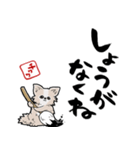 格言ぽく言うチワワ（個別スタンプ：18）