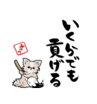 格言ぽく言うチワワ（個別スタンプ：20）