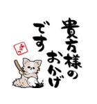 格言ぽく言うチワワ（個別スタンプ：21）