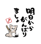 格言ぽく言うチワワ（個別スタンプ：26）