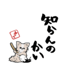 格言ぽく言うチワワ（個別スタンプ：27）