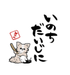 格言ぽく言うチワワ（個別スタンプ：32）