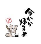 格言ぽく言うチワワ（個別スタンプ：37）