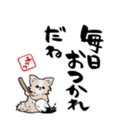 格言ぽく言うチワワ（個別スタンプ：38）