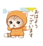 スコティッシュ猫 みかん服 可愛い 敬語（個別スタンプ：1）