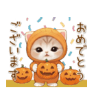 スコティッシュ猫 みかん服 可愛い 敬語（個別スタンプ：3）