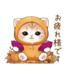 スコティッシュ猫 みかん服 可愛い 敬語（個別スタンプ：5）