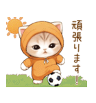 スコティッシュ猫 みかん服 可愛い 敬語（個別スタンプ：7）