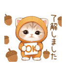 スコティッシュ猫 みかん服 可愛い 敬語（個別スタンプ：8）
