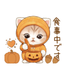 スコティッシュ猫 みかん服 可愛い 敬語（個別スタンプ：20）