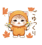 スコティッシュ猫 みかん服 可愛い 敬語（個別スタンプ：22）