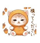 スコティッシュ猫 みかん服 可愛い 敬語（個別スタンプ：24）