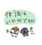 やさしい気遣い猫と冬（個別スタンプ：12）