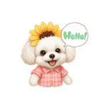 トイプードルの雪ちゃんの日常生活（個別スタンプ：6）