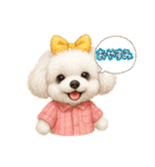 トイプードルの雪ちゃんの日常生活（個別スタンプ：8）