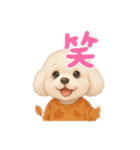 トイプードルの雪ちゃんの日常生活（個別スタンプ：19）