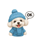 トイプードルの雪ちゃんの日常生活（個別スタンプ：30）
