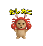 ネッコさんのおスタンプ8（個別スタンプ：2）