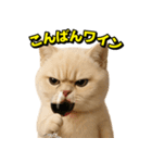 ネッコさんのおスタンプ8（個別スタンプ：6）