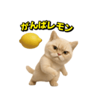 ネッコさんのおスタンプ8（個別スタンプ：8）