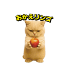 ネッコさんのおスタンプ8（個別スタンプ：18）