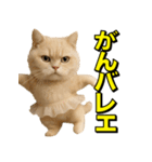 ネッコさんのおスタンプ8（個別スタンプ：19）