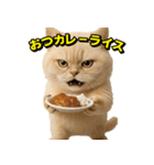 ネッコさんのおスタンプ8（個別スタンプ：20）