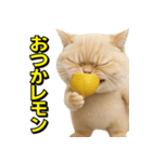 ネッコさんのおスタンプ8（個別スタンプ：23）