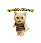 ネッコさんのおスタンプ8（個別スタンプ：24）