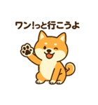 柴犬ワンワンStampシリーズno.4/2025（個別スタンプ：6）