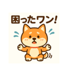 柴犬ワンワンStampシリーズno.4/2025（個別スタンプ：15）