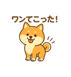 柴犬ワンワンStampシリーズno.4/2025（個別スタンプ：18）