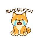 柴犬ワンワンStampシリーズno.4/2025（個別スタンプ：22）