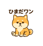 柴犬ワンワンStampシリーズno.4/2025（個別スタンプ：24）